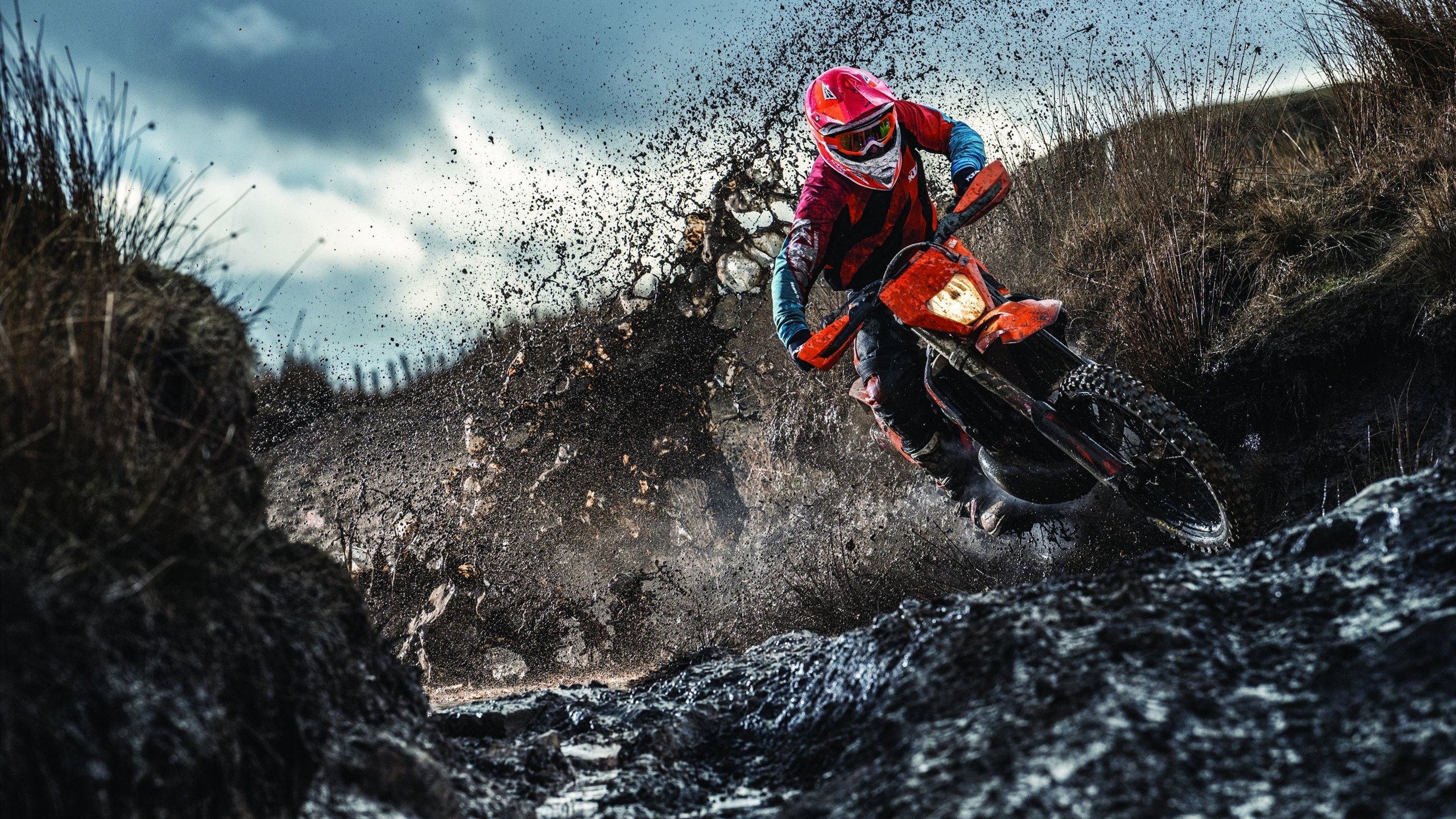 “夺冠时刻：感人瞬间一览无遗”，夺冠令人感动的瞬间